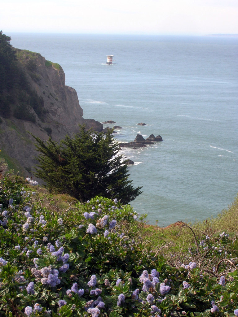 View of Mile Rock Light from the Coastal Trail GGNRA