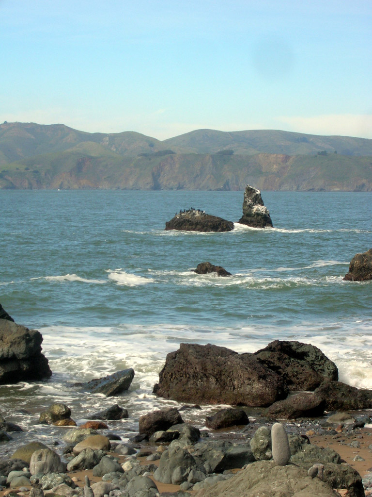 bird rock: pelicans? cormorants?